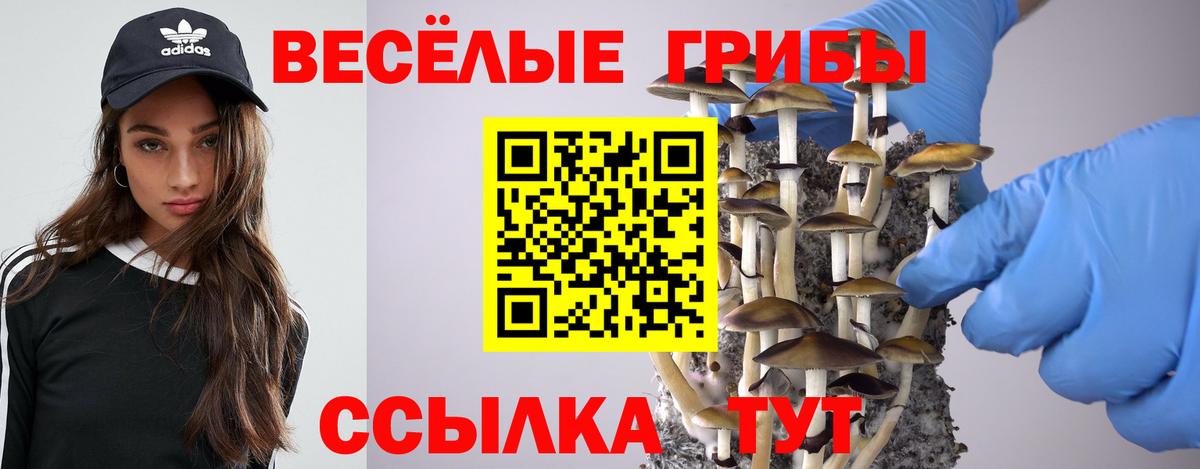 Псилоцибиновые грибы мухоморы  Вход с VPN  Карачаевск  Псилоцибиновые грибы прущие грибы 