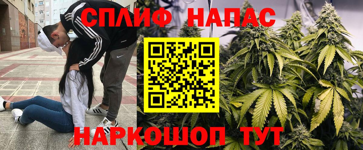Конопля OG Kush Карачаевск